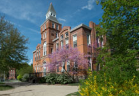 brick building surrounded by purple flowers and trees