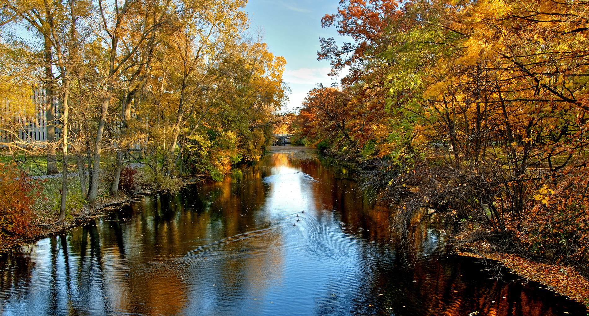 photo of a lake with trees on surrounding sides