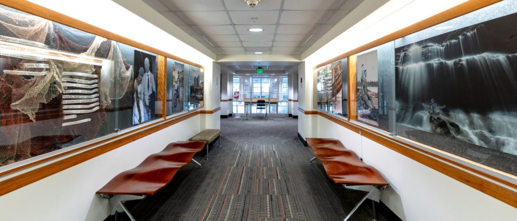 A hallway in a university building featuring an art installation along both walls. The display includes photographs and mixed-media artworks, encased in glass panels, with benches placed below the exhibits. 