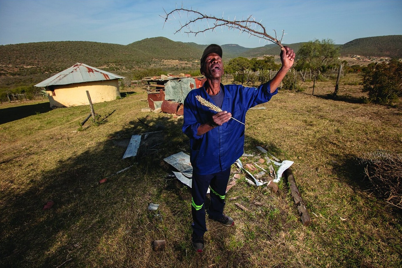 A man in a blue shirt and dark pants stands in a rural, grassy area, holding a thorny branch in one hand and a stalk of grass in the other. Behind him are scattered materials and a round hut with a rusted metal roof, with rolling hills in the distance.