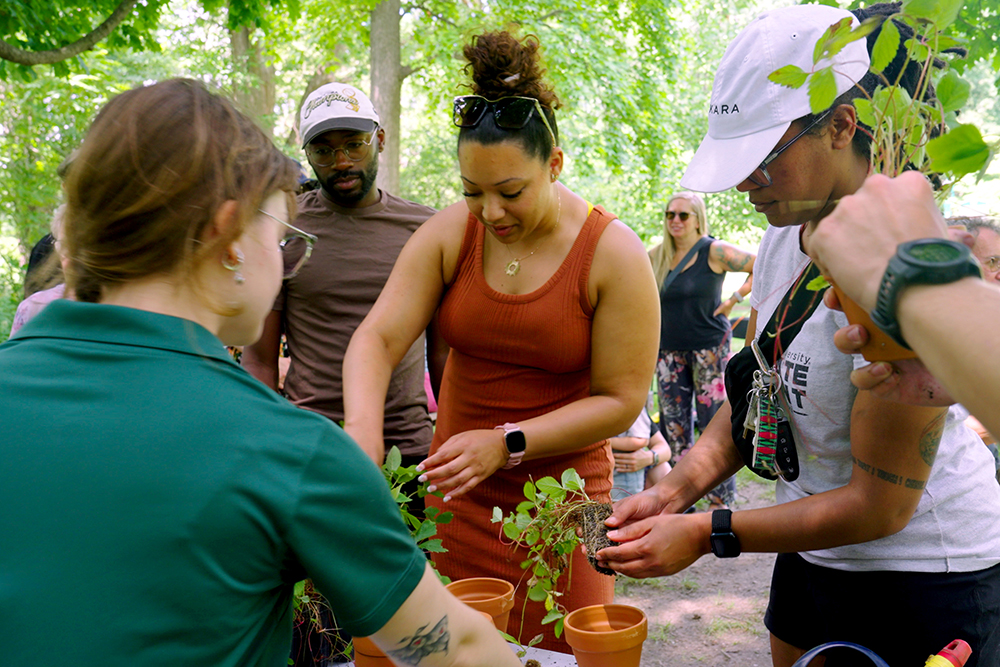 A person in a green shirt on the left helps a group of four people plant strawberry plants in terracotta pots.