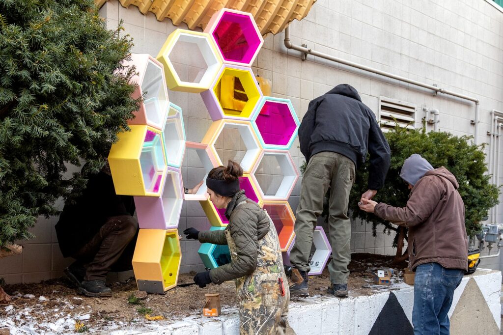 Outdoors in winter, four people install a multicolored hexagonal sculpture against a concrete wall beside evergreen shrubs. The sculpture includes hexagons painted in pastel colors with translucent panels in bright yellow, pink, and teal.