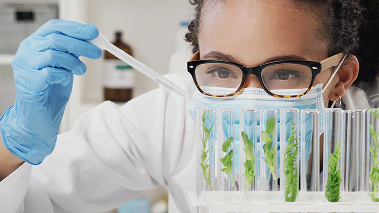 A scientist in protective gear examines green plant samples in test tubes with a pipette in a lab.