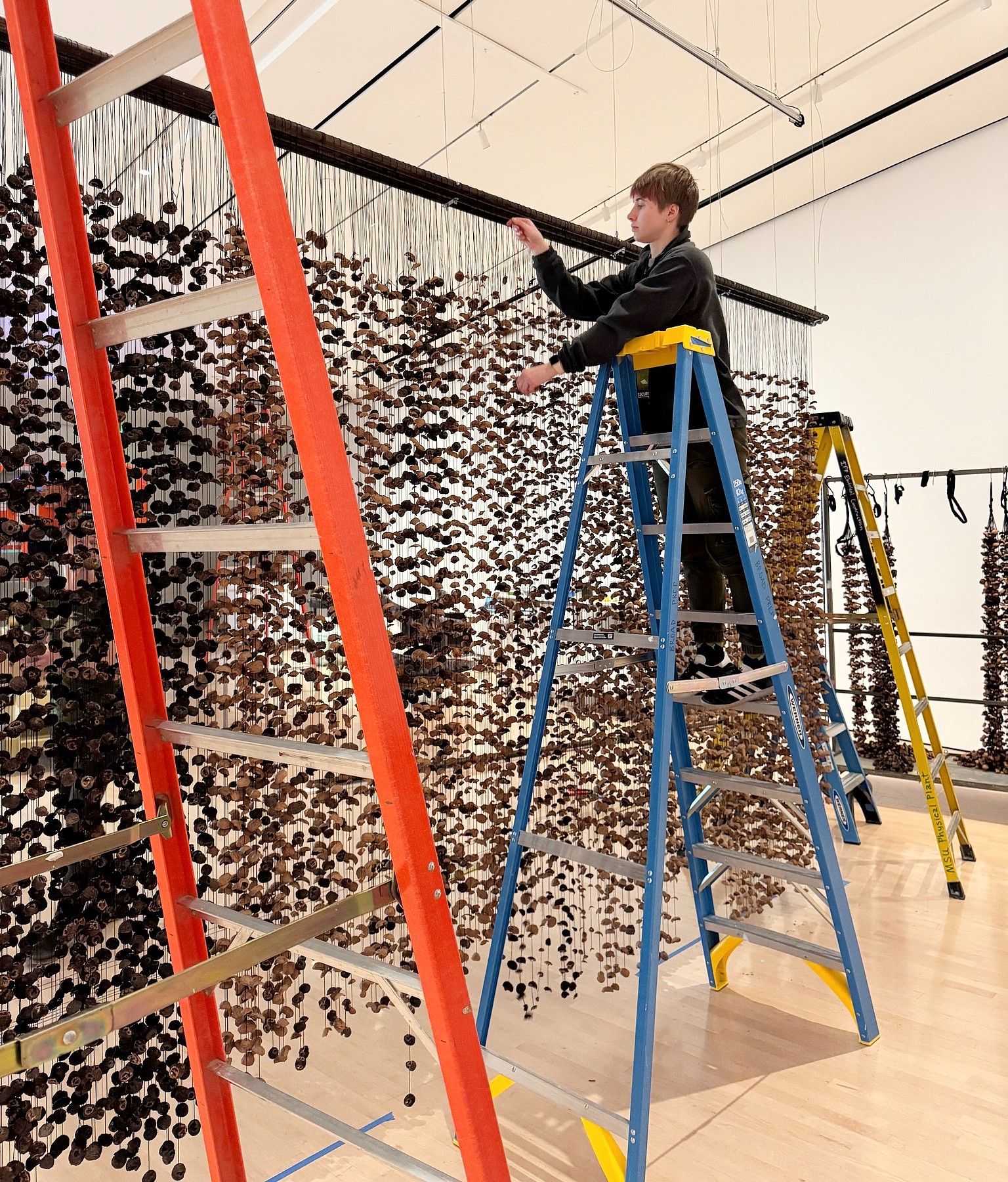 A person stands on a blue ladder, arranging strings of hanging, dark beads in an art installation, flanked by red and yellow ladders on a wood floor.