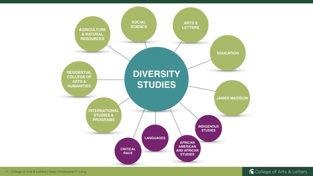 Graphic of the different sections of Diversity Studies