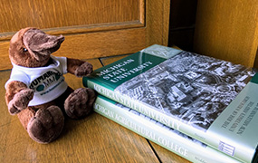 a stuffed beaver next to a book