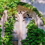 a arched window with vines growing on it