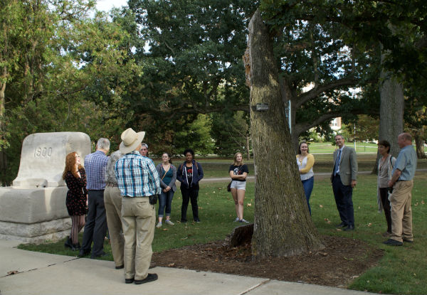 people standing around the resilient tree