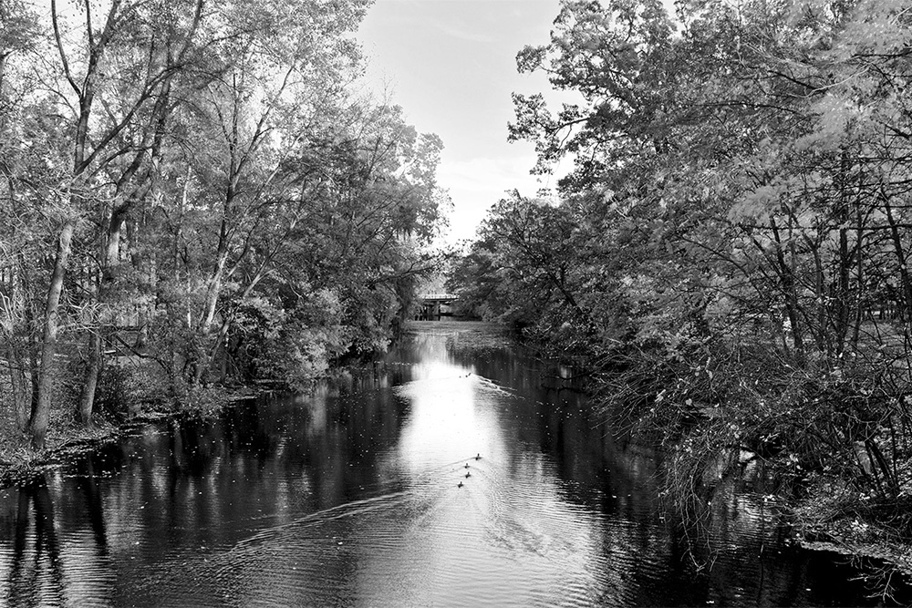 Red Cedar River in black & white