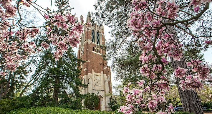 Beaumont Tower in the Spring