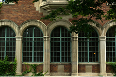 A set of three windows against a brick wall
