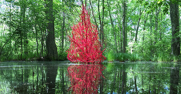 Tree wrapped in red string standing in the middle of a pond with reflection