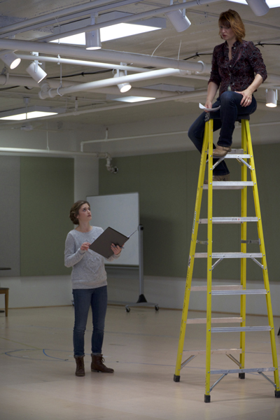 an image of a woman holding a clip board and instructing a person on the top of a ladder