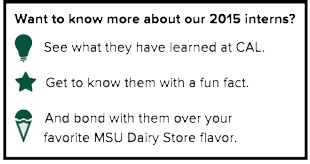 a graphic of a key, a light bulb is 'what they have learned at CAL,' a star is 'get to know them with a fun fact,' and an ice cream is 'bond with them over your favorite MSU diary store flavor'