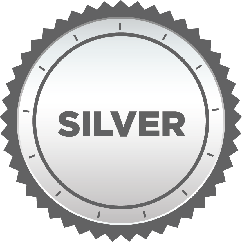 icon of a silver badge