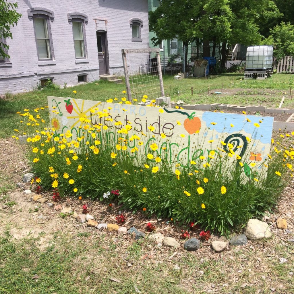a flower garden outside with a sign in it 