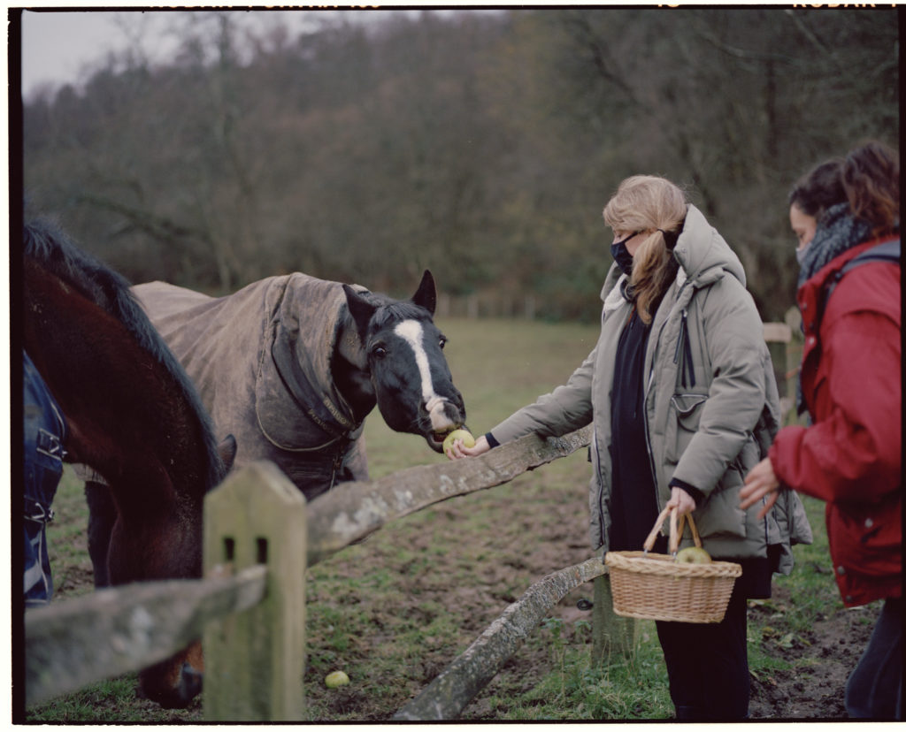 Woman with blonde hair feeding a horse an apple