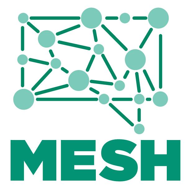 Mesh logo