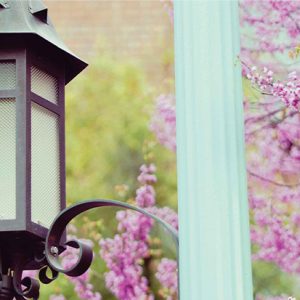 a lamp post with purple flowers around it